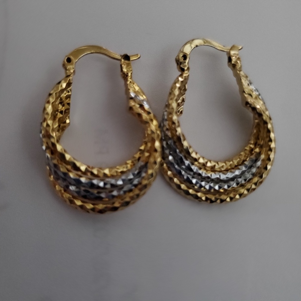 Fashion hoop earrings-NWOT